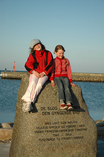 02-Danmark
 Hero