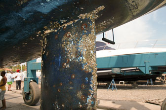 17-Venezuela og  Bonaire
 Hero