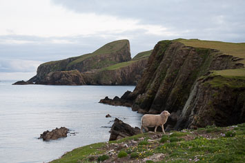 01 Shetland og Fair Isle
 Hero