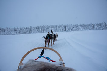 03 Huskysledging
 Hero