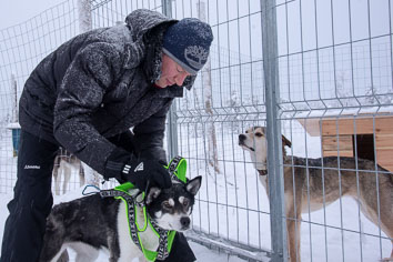 03 Huskysledging
 Hero